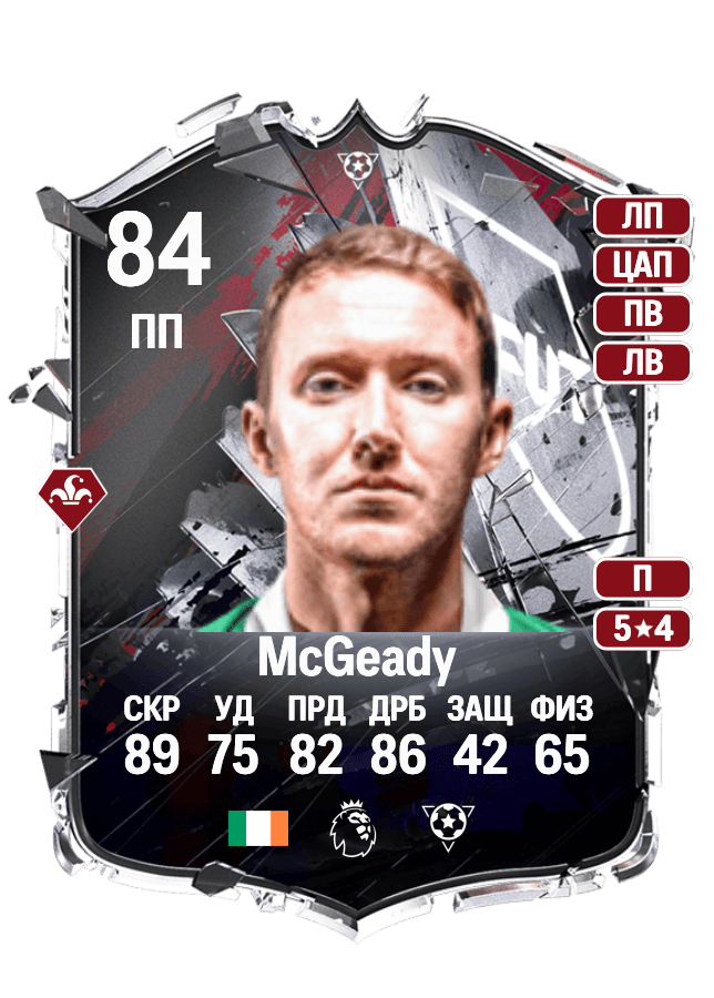 Aiden McGeady card