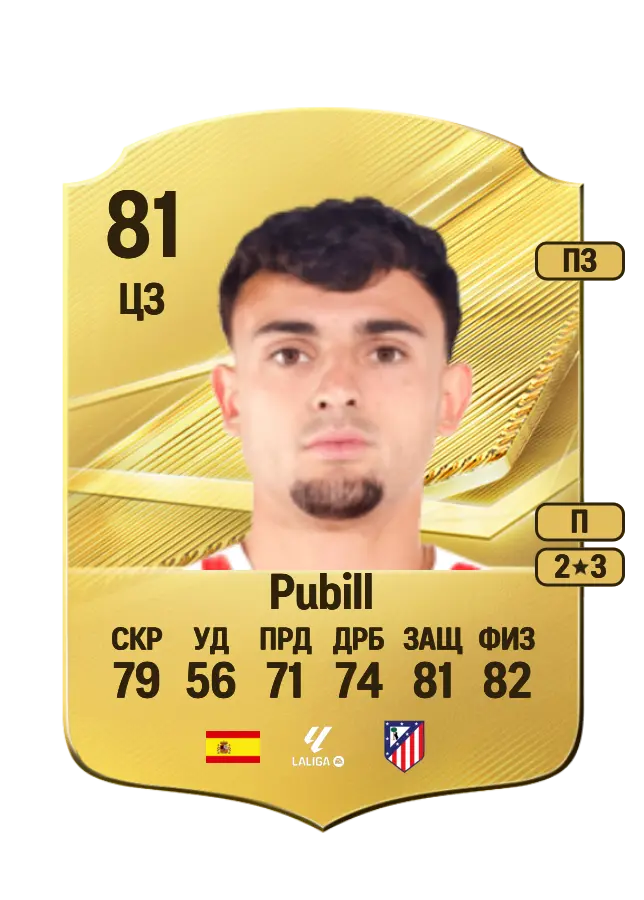Pubill card