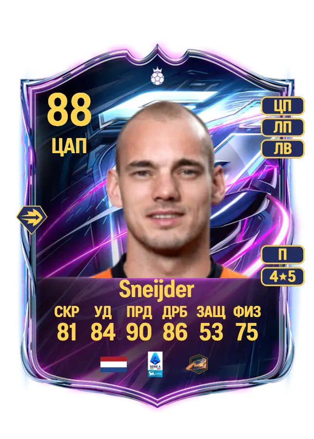 Wesley Sneijder card