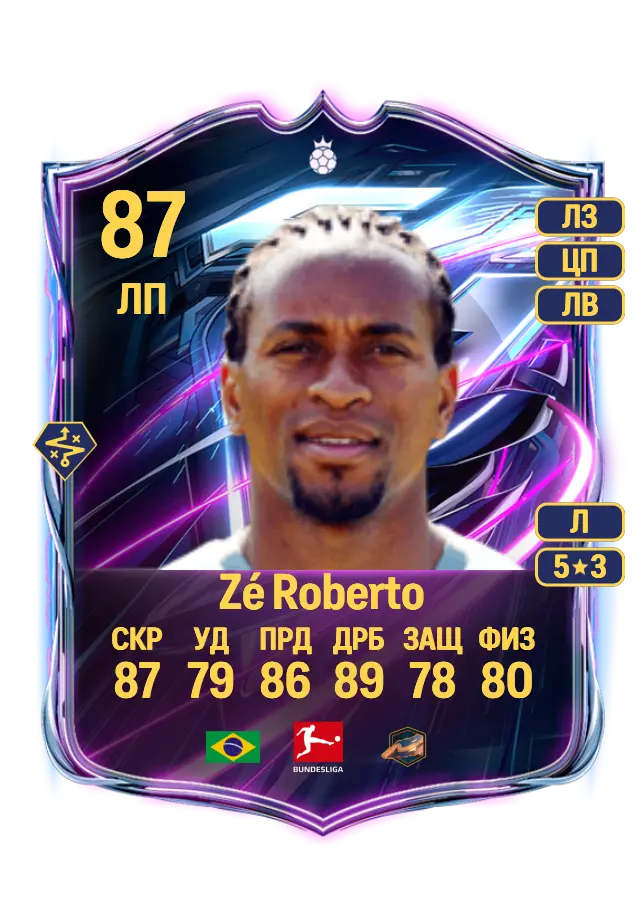 Zé Roberto card