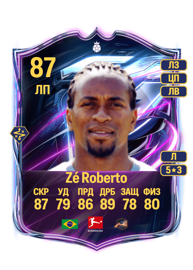 Zé Roberto card
