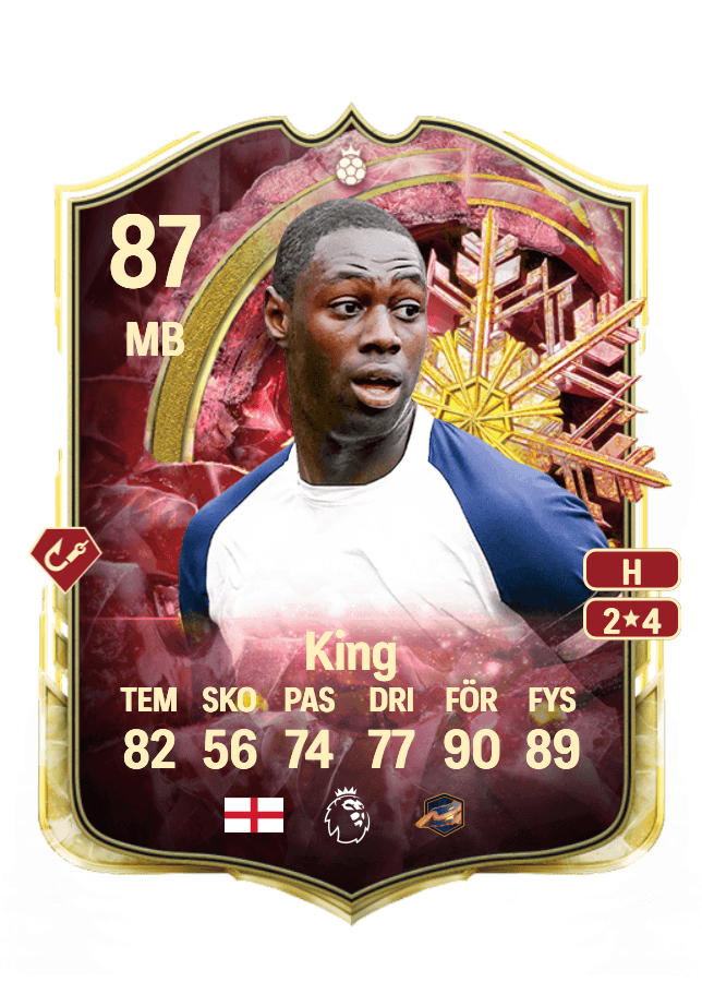 Ledley King card