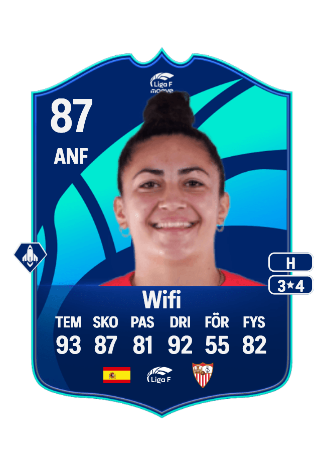Wifi card
