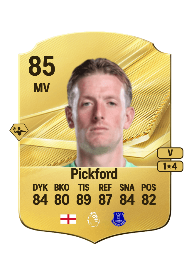 Jordan Pickford card