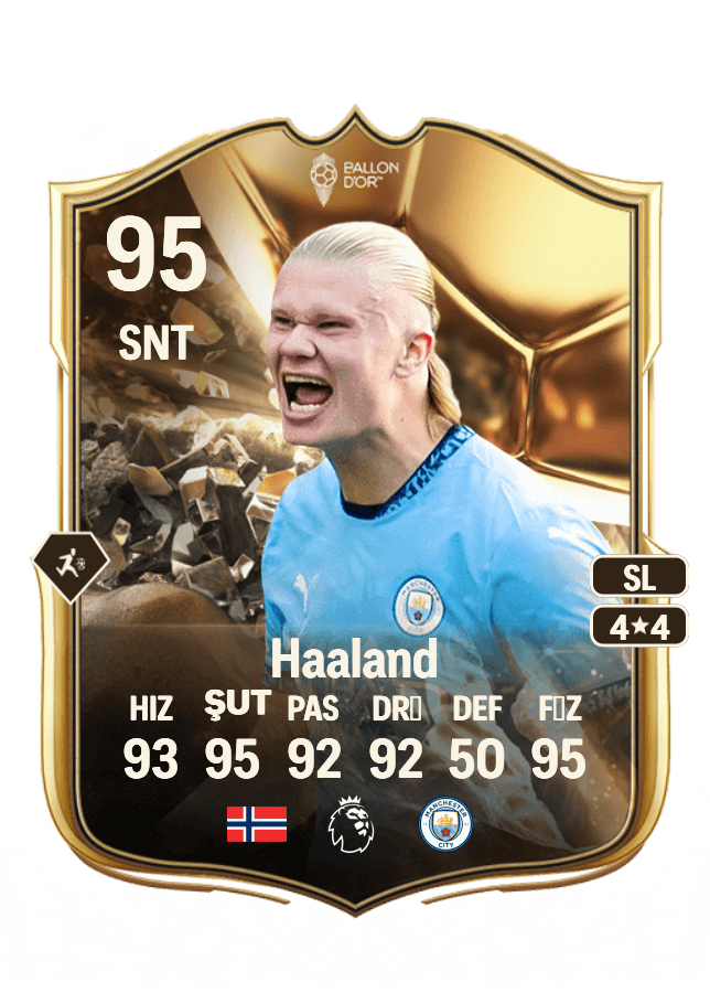 Erling Haaland card