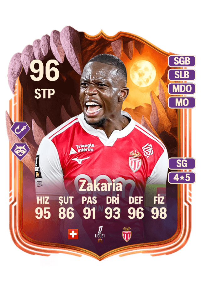 Denis Zakaria card