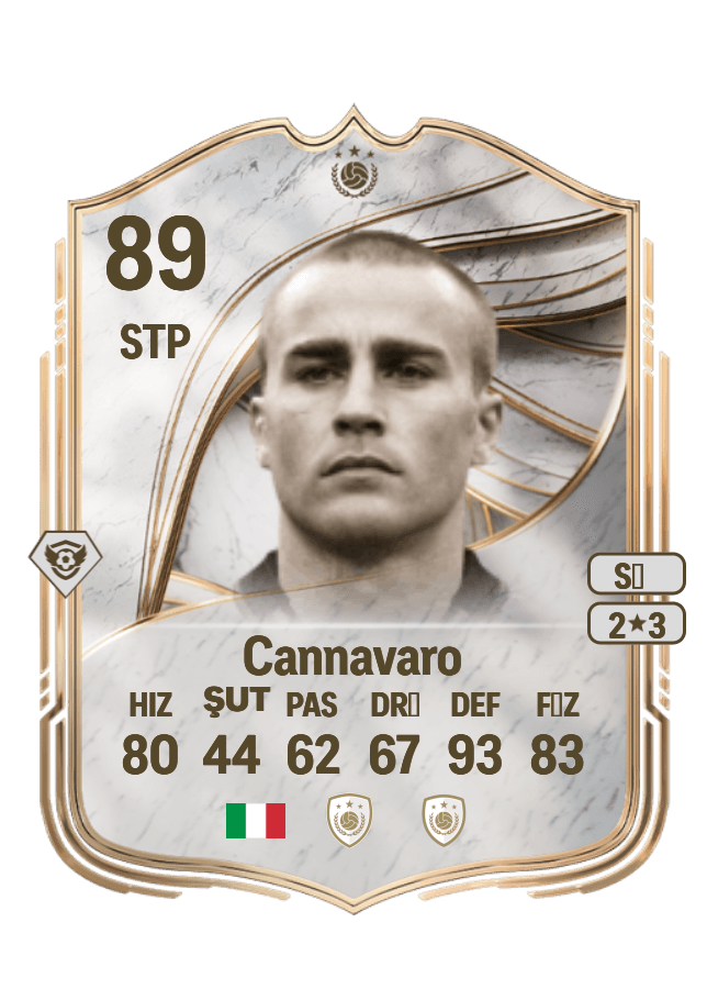 Fabio Cannavaro card