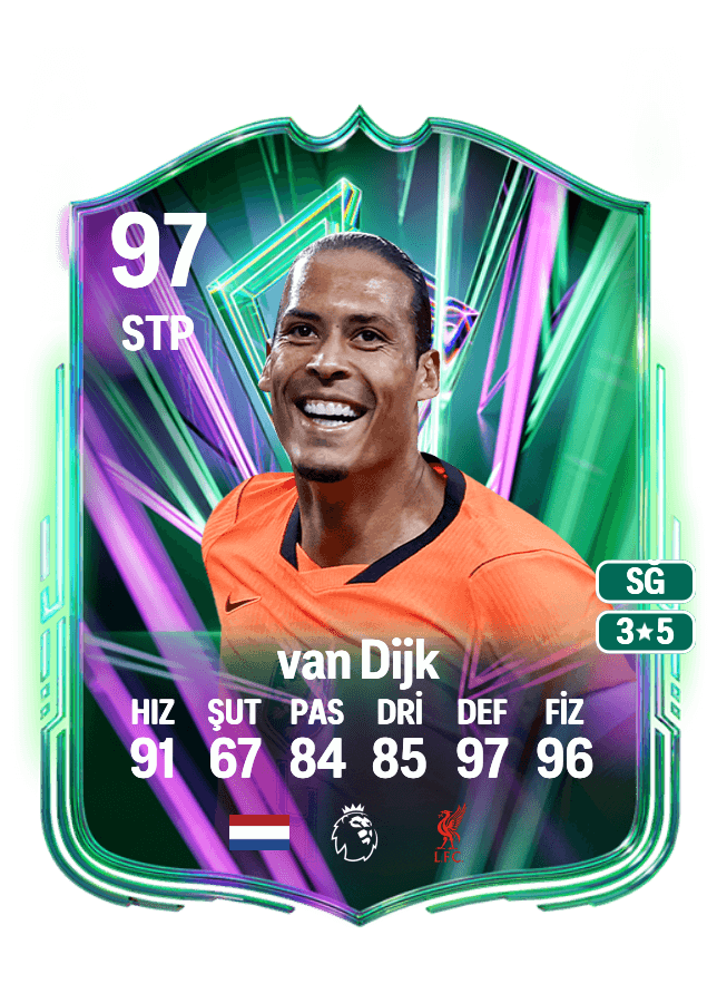Virgil van Dijk card