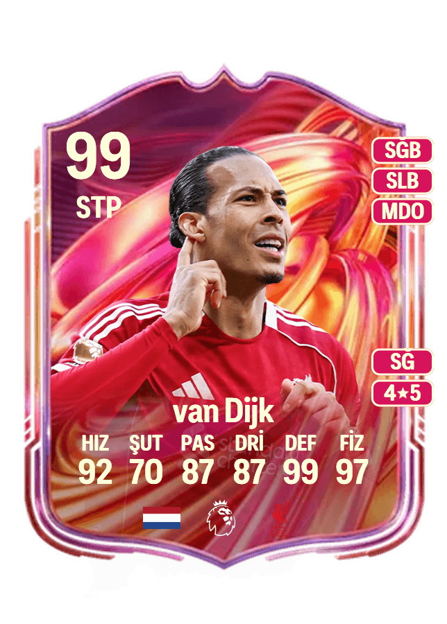 Virgil van Dijk card