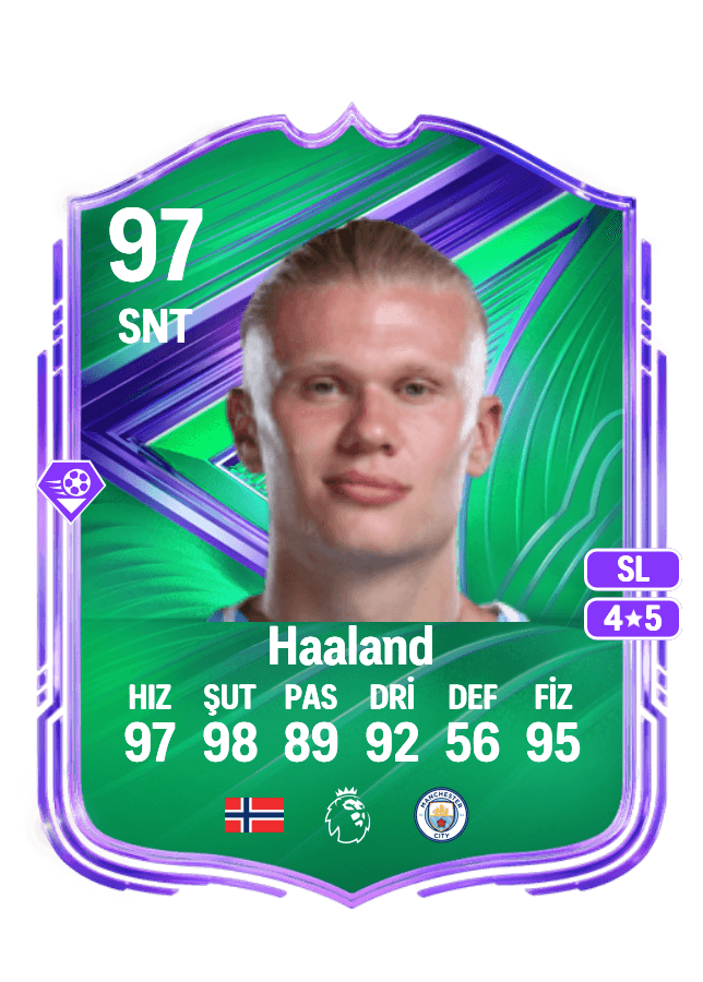 Erling Haaland card