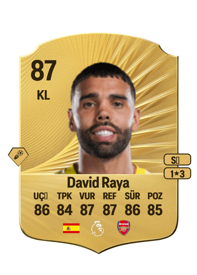 David Raya card