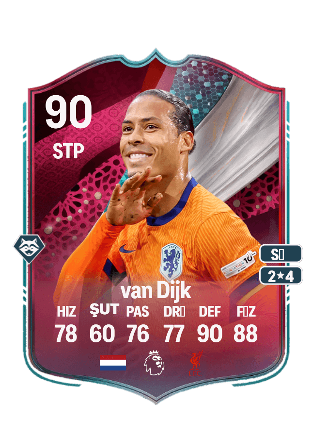 Virgil van Dijk card