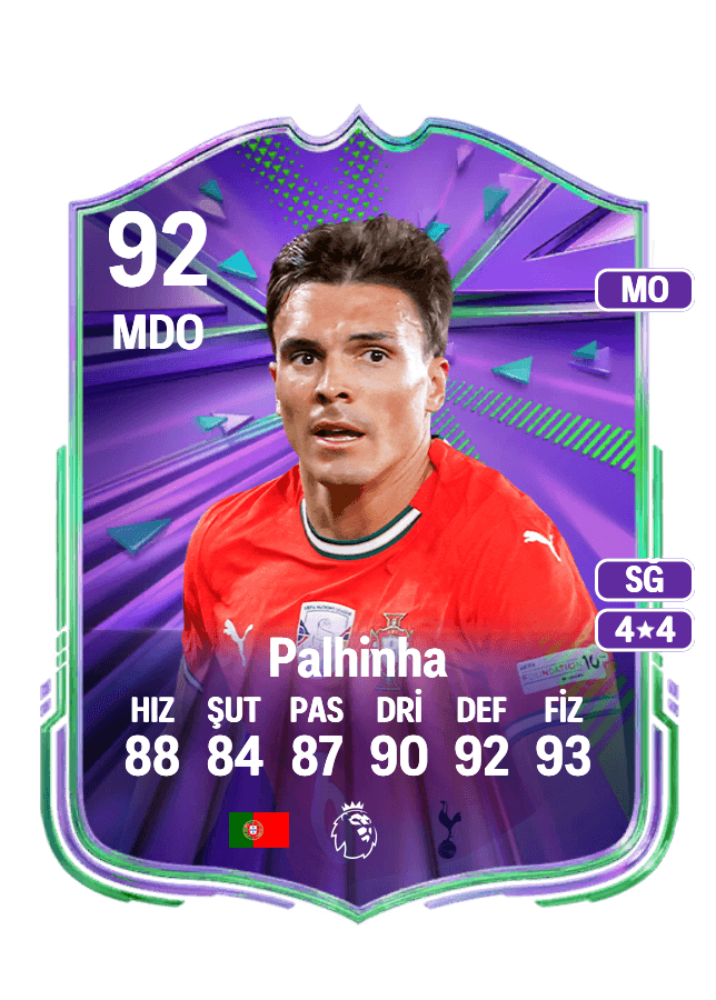 Palhinha card
