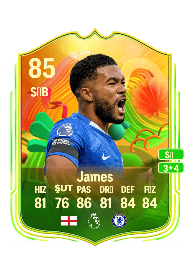 Reece James card
