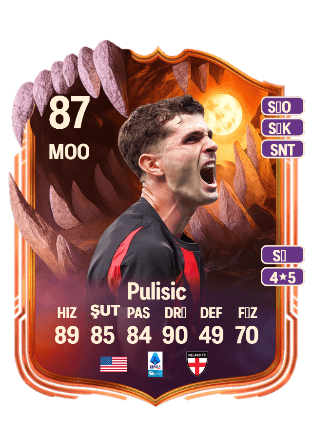 Christian Pulisic card