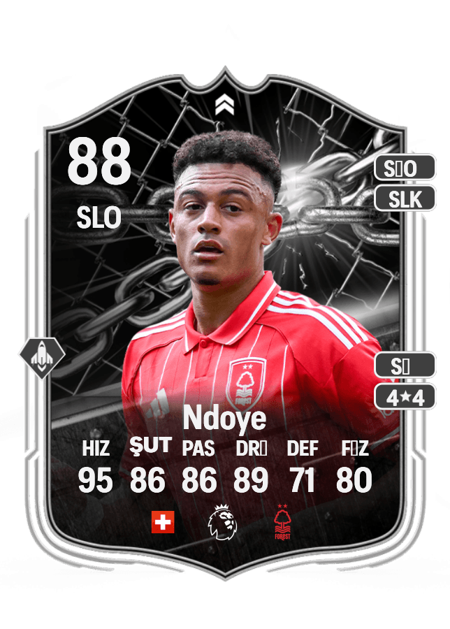 Dan Ndoye card