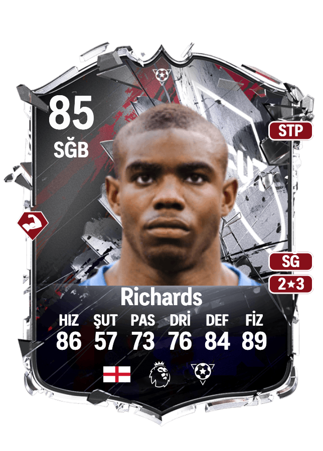 Micah Richards card