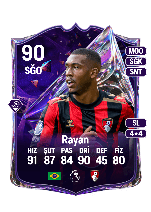 Rayan card