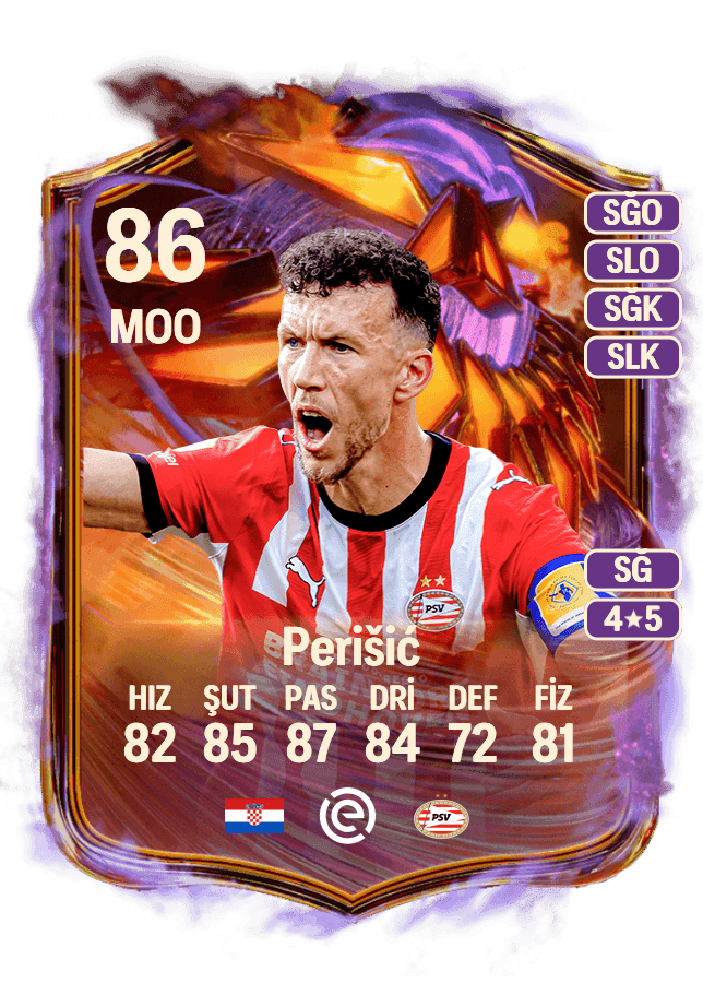 Ivan Perišić card