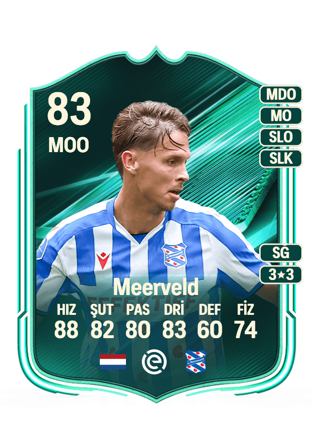 Ringo Meerveld card