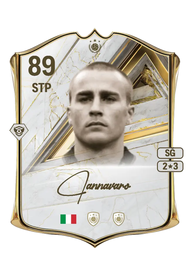 Fabio Cannavaro card