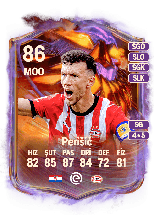 Ivan Perišić card