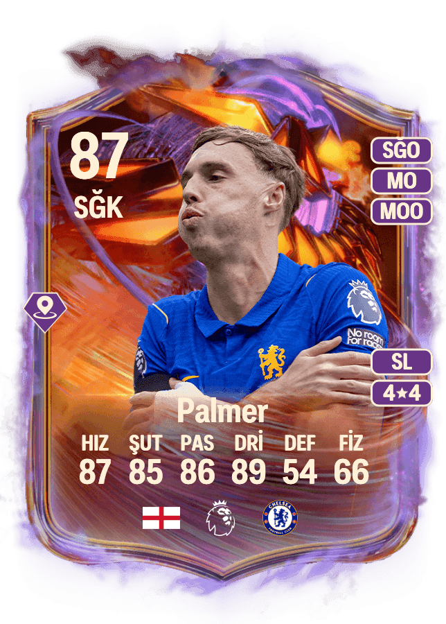 Cole Palmer card