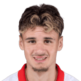 Alajbegović