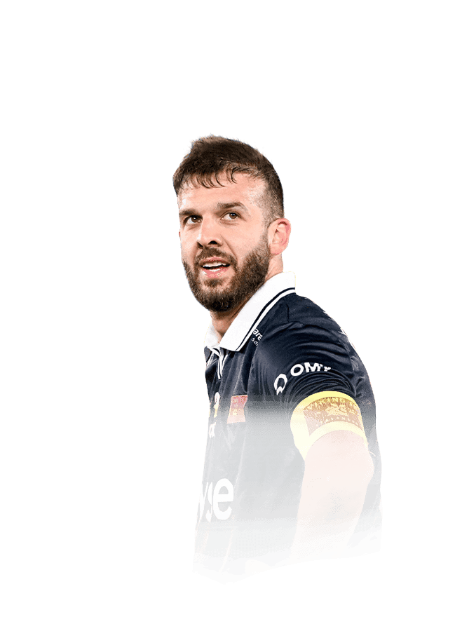 Tripić
