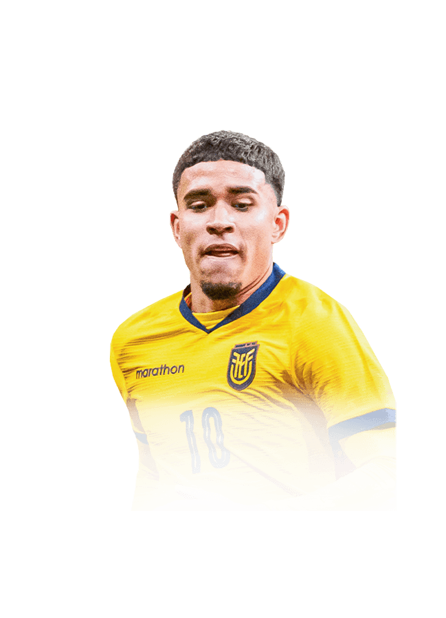 Páez