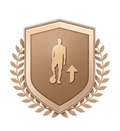Lagbyggingsoppgaver Bronseoppgradering logo