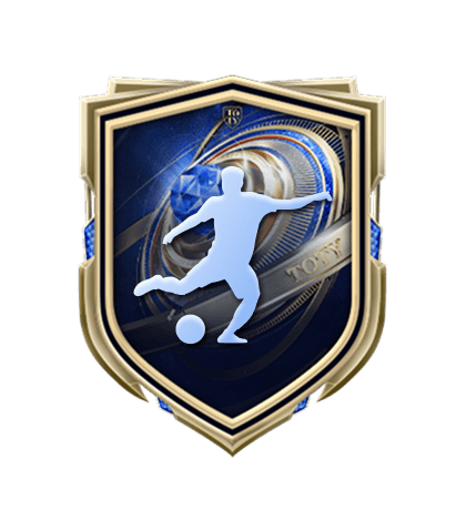 Kadro Kurma Görevleri Christian Pulisic logo