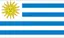 Nation flag