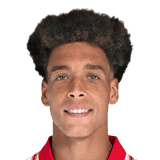 Witsel
