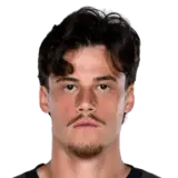 Svilar