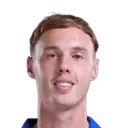 Palmer