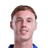 Palmer