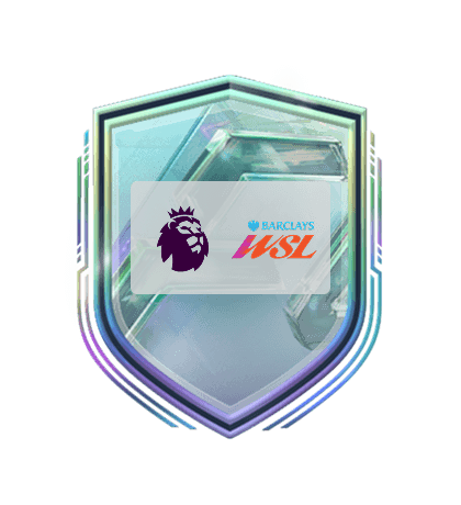 Kadro Kurma Görevleri Premier League & Barclays WSL logo