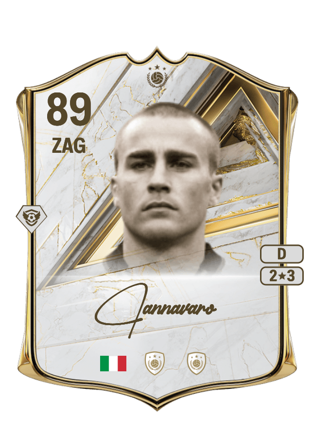 Fabio Cannavaro card