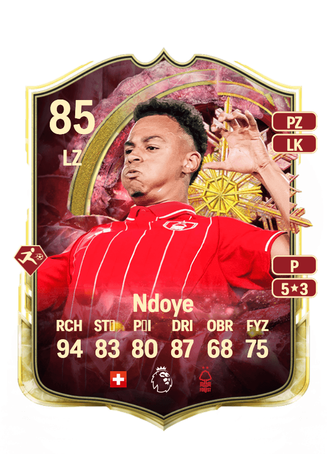 Dan Ndoye card