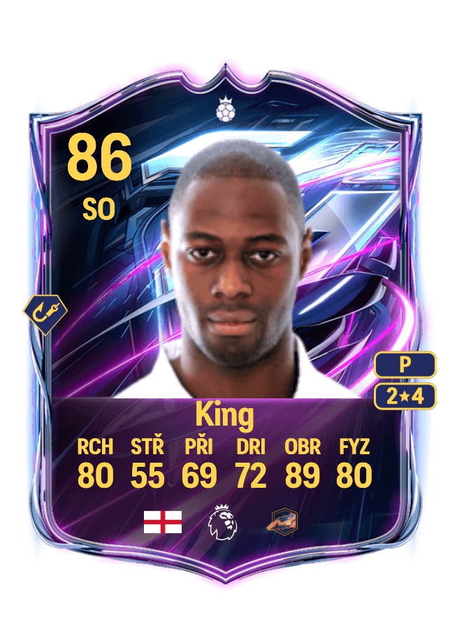Ledley King card