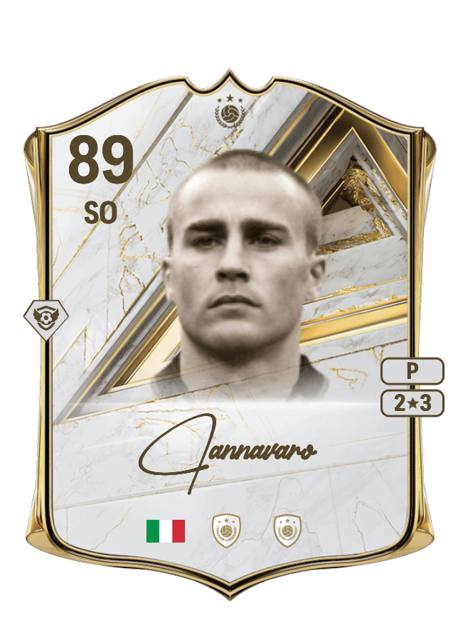 Fabio Cannavaro card