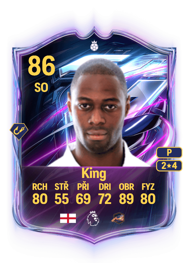 Ledley King card