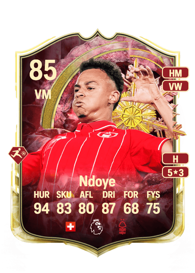 Dan Ndoye card