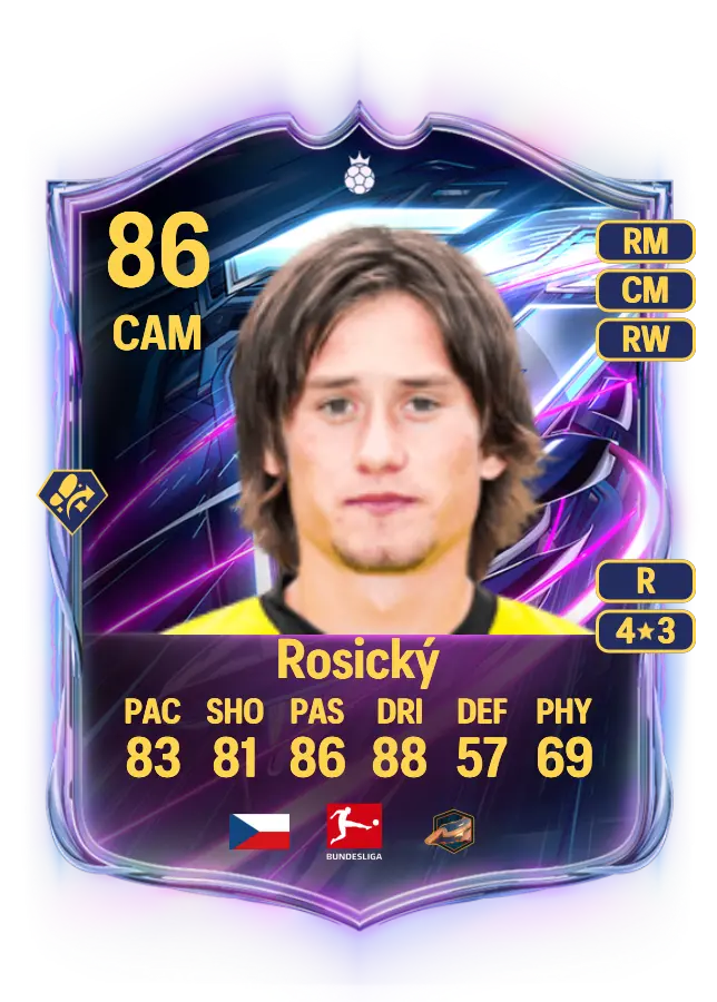 Tomáš Rosický card