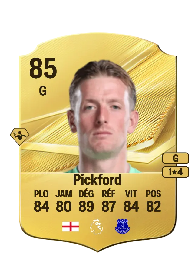 Jordan Pickford card