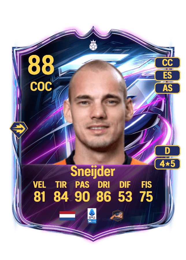 Wesley Sneijder card