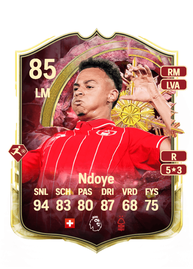 Dan Ndoye card