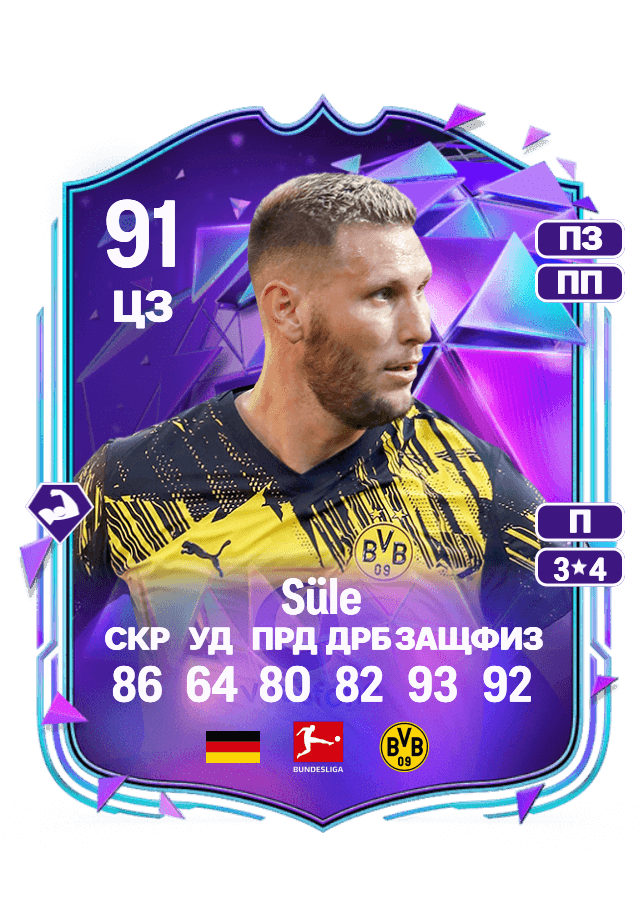 Niklas Süle card