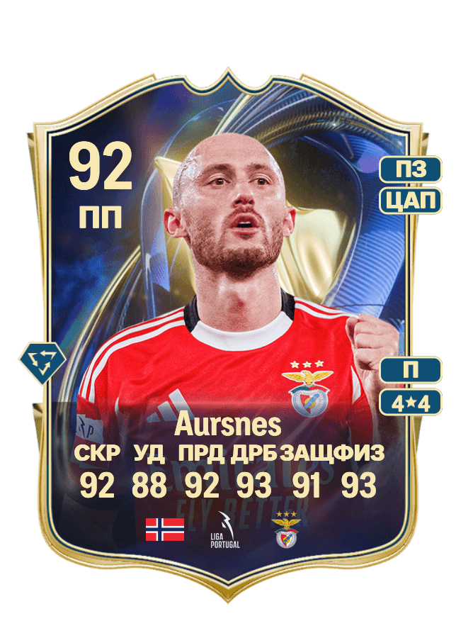 Fredrik Aursnes card